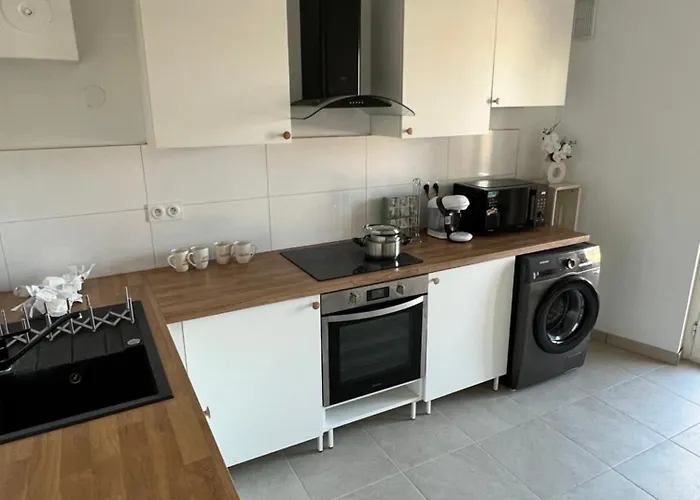 Le Toit Des Volcans - 8 Couchages - Terrasse Privee Et Wifi *