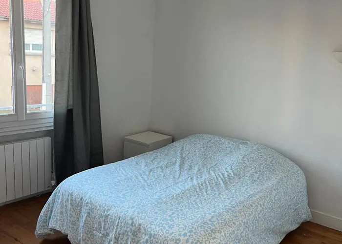 Le Toit Des Volcans - 8 Couchages - Terrasse Privee Et Wifi